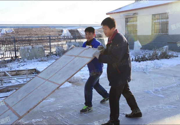 曹经理带领员工用木板除雪扫雪图片