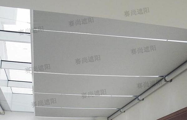 FSS电动天棚帘